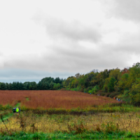 Oakdale Nature Preserve