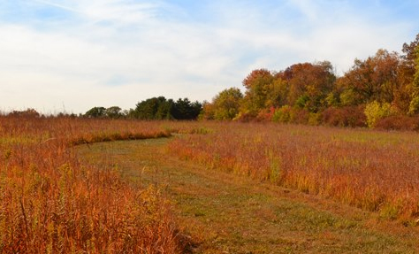 winding trail displaying the colors of autumn