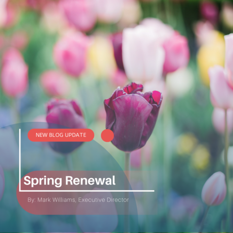 Spring Renewal blog update post