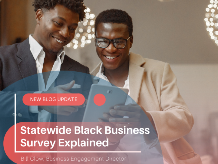 State-Wide Black Business Survey Explained